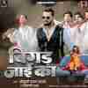 Bigad Jayi Ka Official Audio