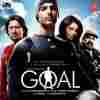 Goal 2007