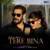 Tere Bina