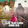 TUJHE YAAD KARNA CHOD DIYA Official Audio
