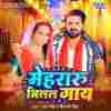 Mehraru Milal Gaay Official Audio