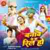 Banawe Ke Ba Reel Ho Official Audio
