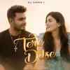 Tere Dilse Official Audio