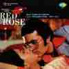 Red Rose 1980